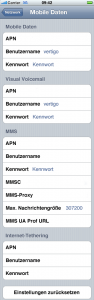 iPhone 3GS: Einstellungen für Mobiles Internet