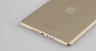 gold_ipad_mini_2_rear