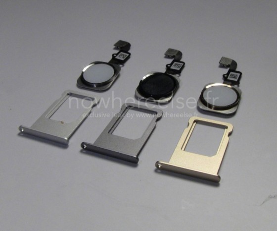 Sim Trays geben Aufschluss auf die erhältlichen Farben und scheinen leicht gewölbt zu sein
